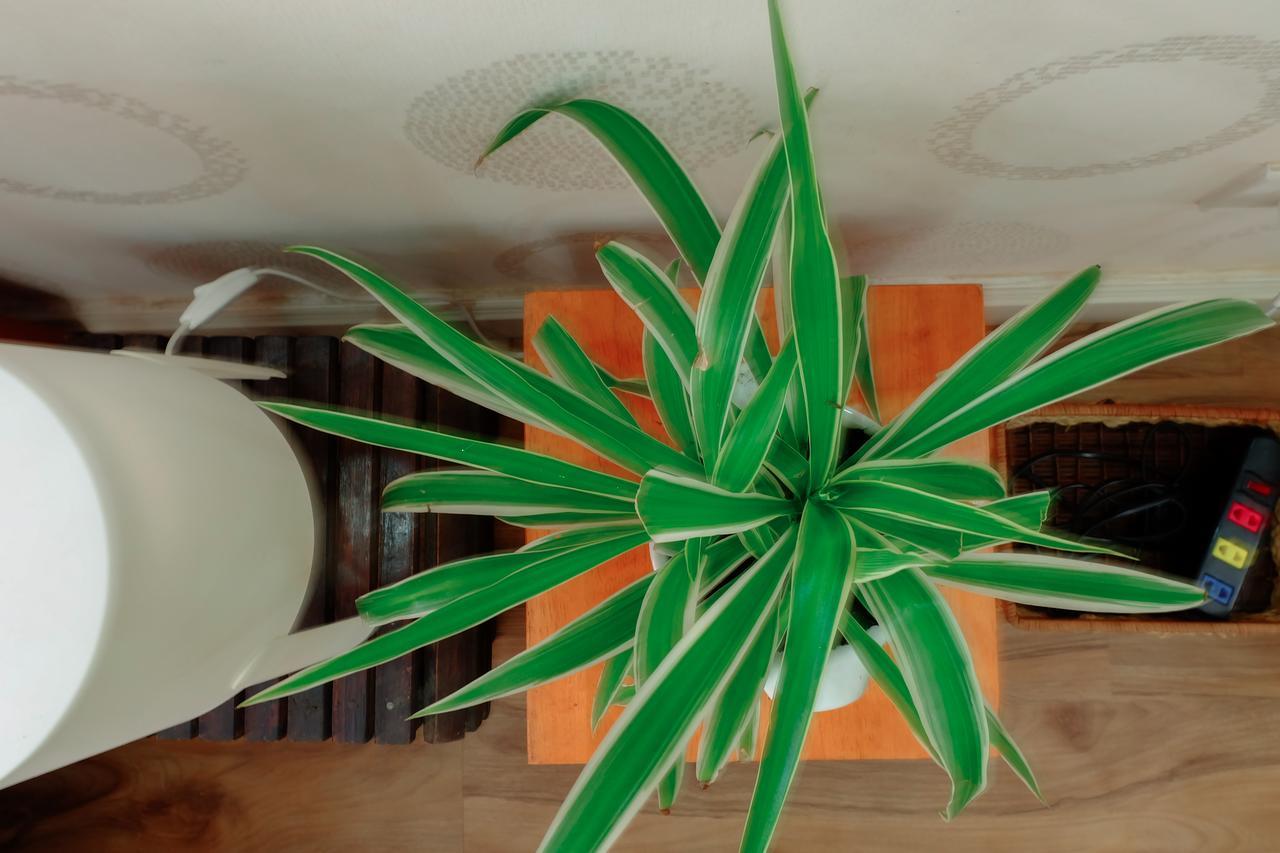 Magari Homestay Bandar Ho Chi Minh Luaran gambar