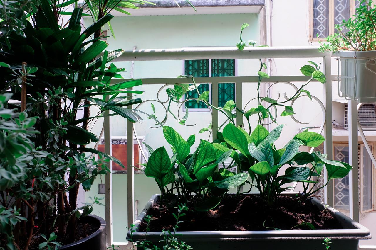 Magari Homestay Bandar Ho Chi Minh Luaran gambar